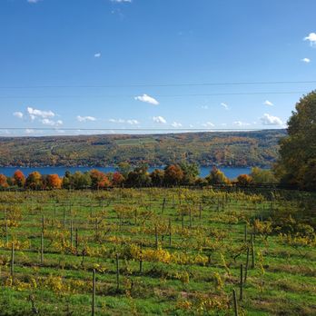Keuka Lake Vineyards - Outside seating view - Wineries Near Me - Hammondsport, New York Keuka Lake Vineyards - Outside seating view - Wineries Near Me - Hammondsport, New York