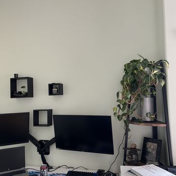 en concordia - My husband loves his new home office plant! - Nurseries & Gardening Near Me - San Diego, California en concordia - My husband loves his new home office plant! - Nurseries & Gardening Near Me - San Diego, California