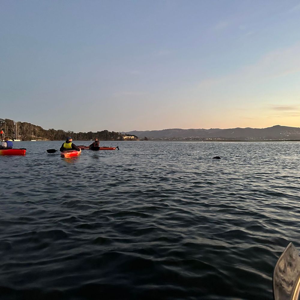 Central Coast Outdoors - Tours Near Me - Morro Bay, California