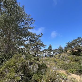 Torrey Pines State Reserve - Parks Near Me - La Jolla, California Torrey Pines State Reserve - Parks Near Me - La Jolla, California
