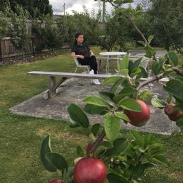 Secret apple garden