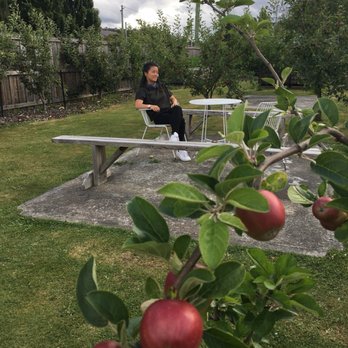 Willie Smith’s Apple Shed - Secret apple garden - Museums Near Me - Grove, TAS