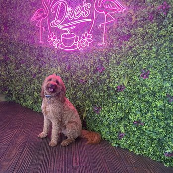 Dre's Cafe - Coffee & Tea Near Me - Toluca Lake, California