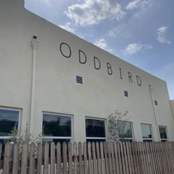 Odd Bird