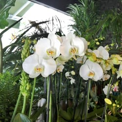 De Bloemerie
