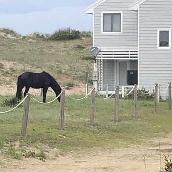Back Country Safari Tours - Historical Tours Near Me - Corolla, North Carolina Back Country Safari Tours - Historical Tours Near Me - Corolla, North Carolina
