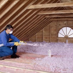 Polar Bear Insulation