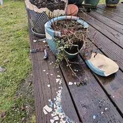 Grocery Outlet - Bad flower pots.