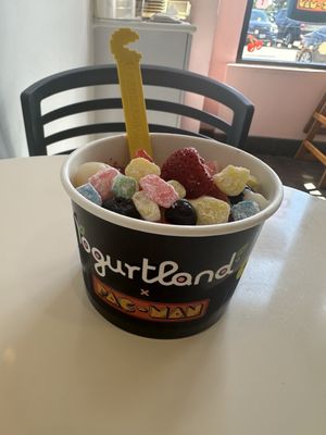 Yogurtland Garland by null