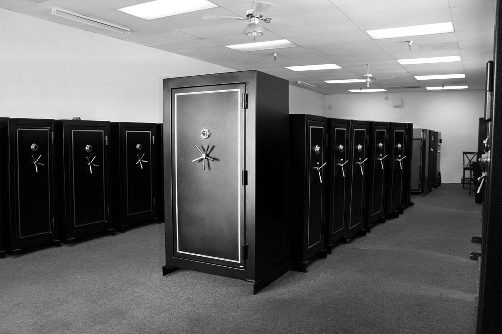 THE SAFE COMPANY Updated March 2025 1102 N Ben Maddox Way, Visalia, California Safe Stores