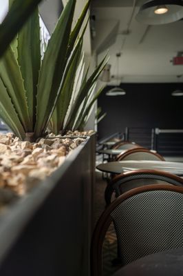 Salt + Honey Bakery Cafe by null