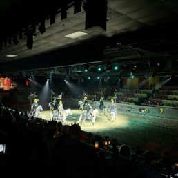 Show