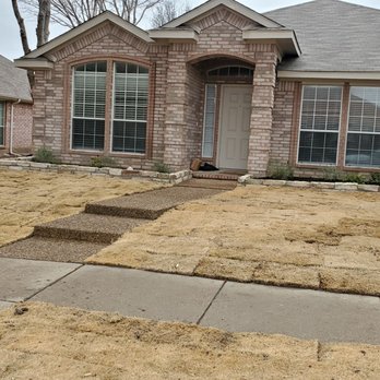 Lone Oak Tree And Fence Service - Tree Services Near Me - Valley View, Texas Lone Oak Tree And Fence Service - Tree Services Near Me - Valley View, Texas