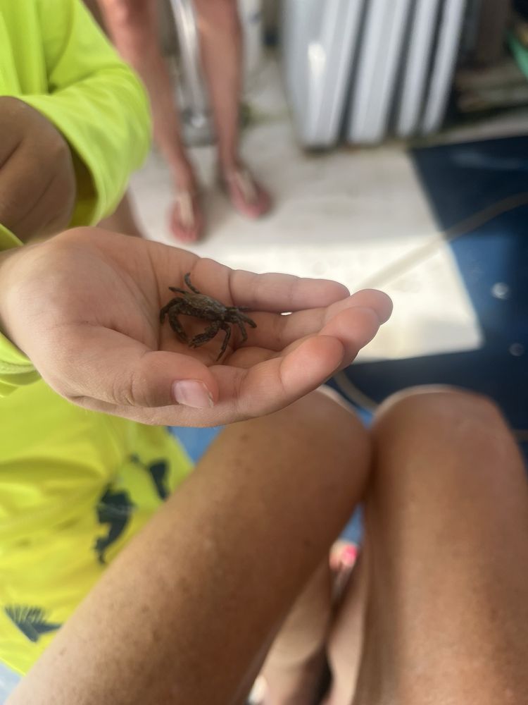 Social spots from Barrier Island Ecotours