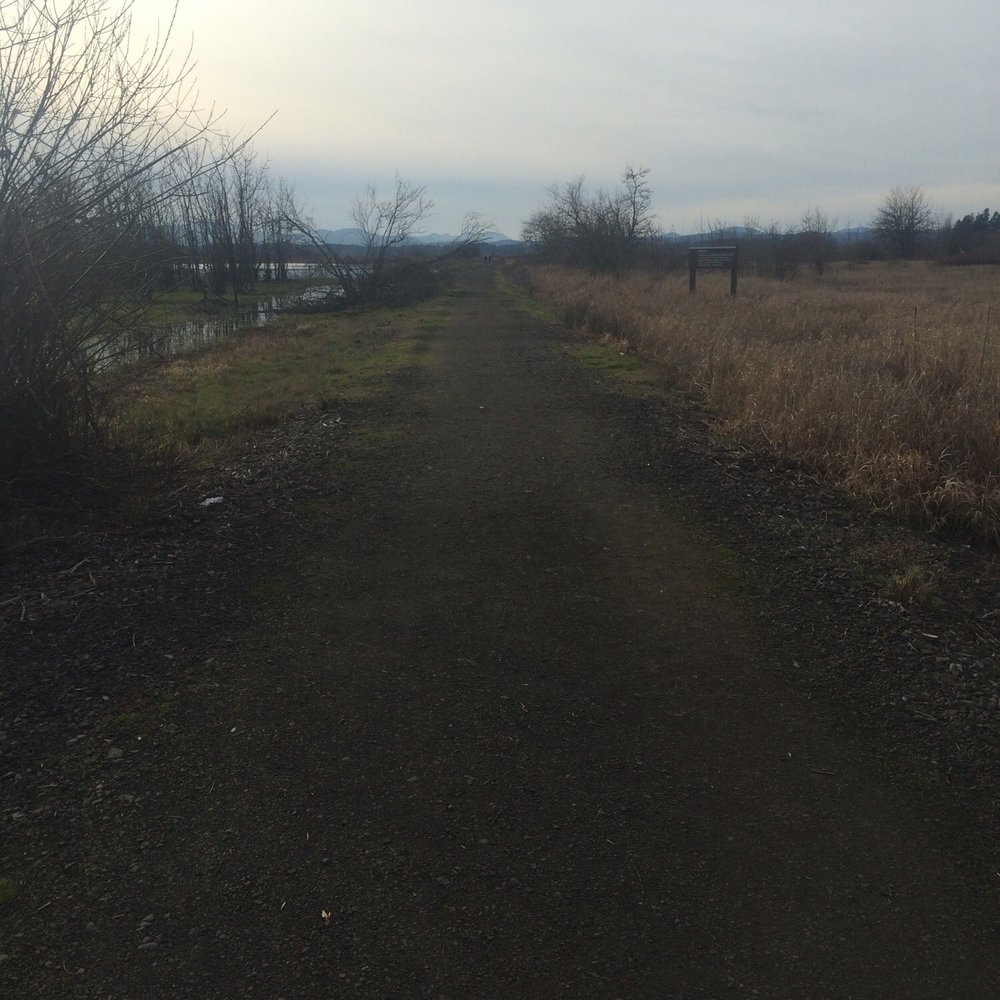 Fern Ridge Wildlife Area - The start of the trail. - Parks Near Me - Eugene, Oregon