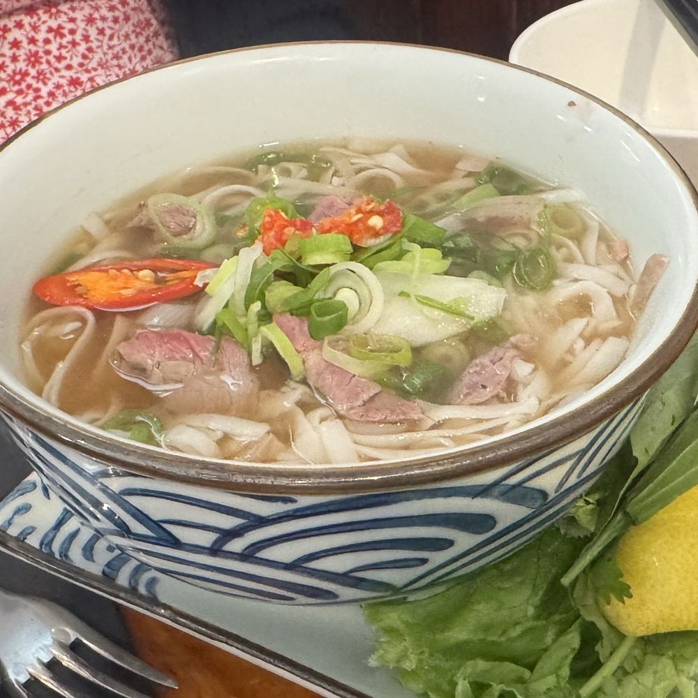Viet Nam Restaurante - Beef Pho, spring rolls, summer rolls, and stir fried eggs noodles with vegetables and beef. - Asian Fusion Near Me - Madrid, M