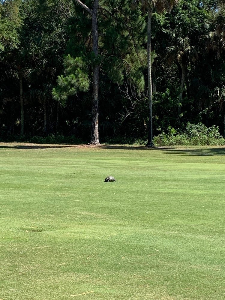 TURTLE CREEK GOLF CLUB Updated May 2024 1278 Admiralty Blvd, Rockledge, Florida Golf