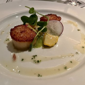 Gary Danko - Seared Sea Scallops - New American Near Me - San Francisco, California Gary Danko - Seared Sea Scallops - New American Near Me - San Francisco, California