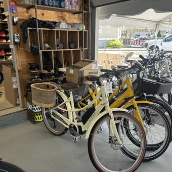 Mainely Bicycle - Ebikes for sale, Linus, Aventon, Specialized, Troxus. - Bikes Near Me - Kennebunk, Maine