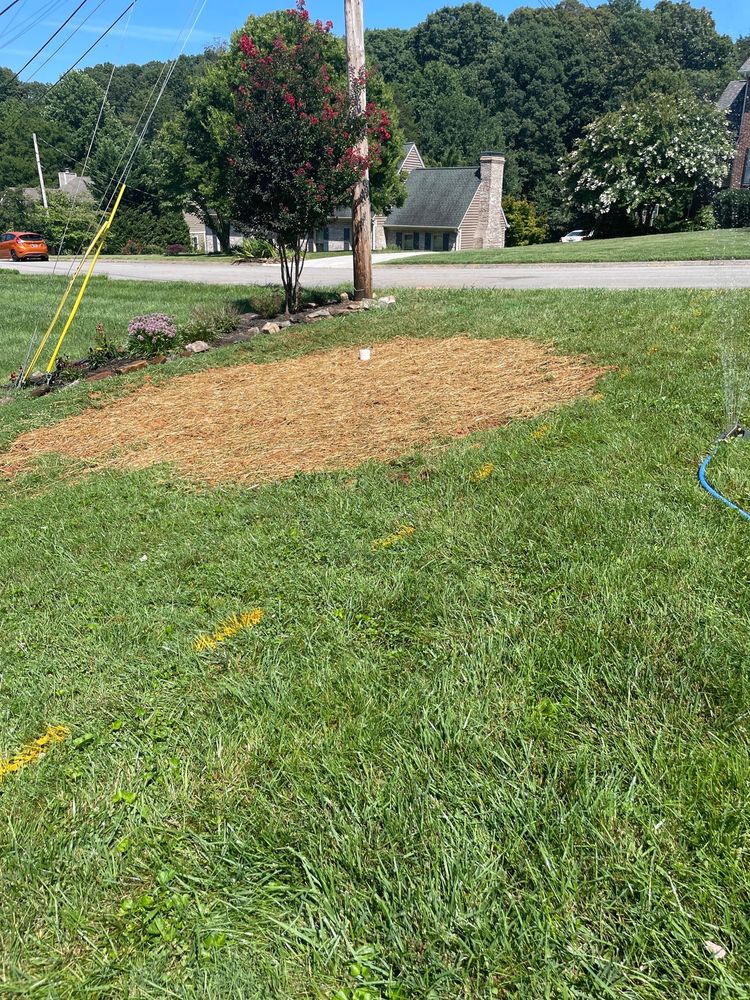 Slide of GoHero Home Services