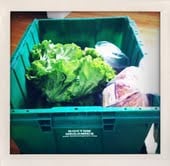 Boston Organics by null