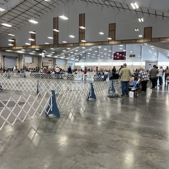 Wilson County Fair - Show ring 1-10 - Local Flavor Near Me - Lebanon, Tennessee