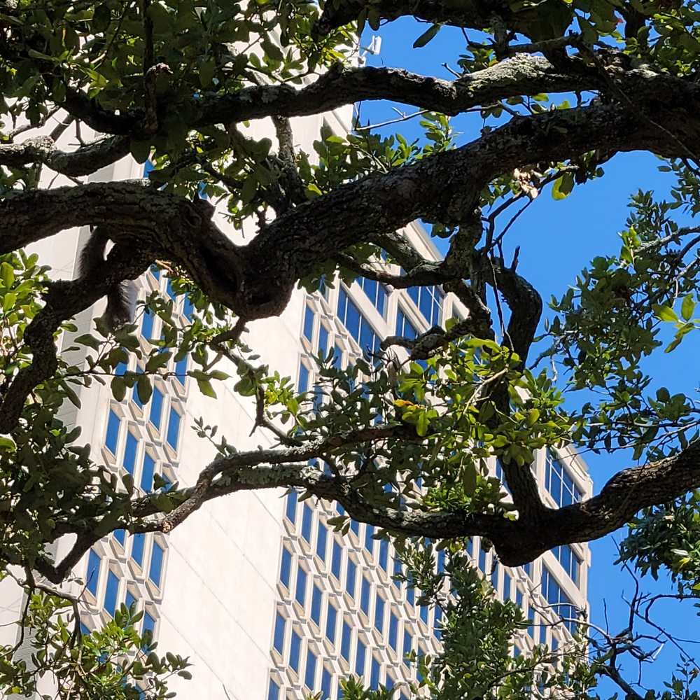 Bienville Square - Parks Near Me - Mobile, Alabama