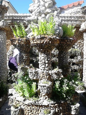 Jardin Rosa Mir by null