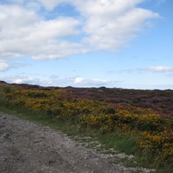 Ben of Howth