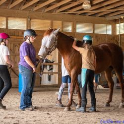 Blue Riders Stables