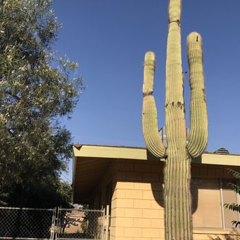Post and Beam Realty High Desert - Saguaro Cactus and cinderblock mid-century home - Real Estate Services Near Me - Yucca Valley, California Post and Beam Realty High Desert - Saguaro Cactus and cinderblock mid-century home - Real Estate Services Near Me - Yucca Valley, California