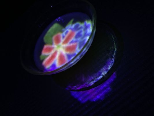 EN TEA HOUSE 幻花亭D rec by null