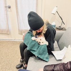 Goo Goo Dogs - My dog in critical condition at the pet hospital before he died.