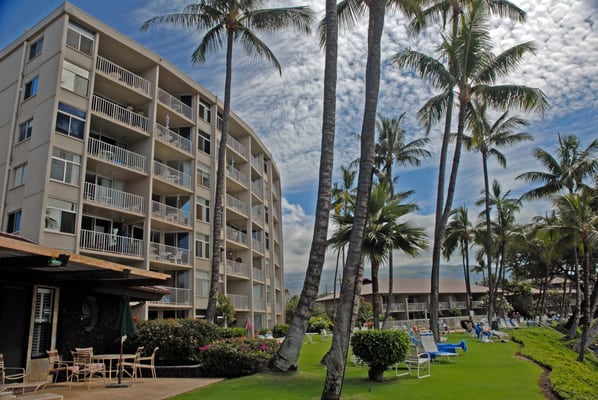 The Hale Pau Hana by null
