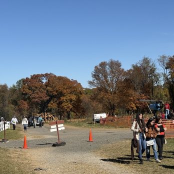 Butler's Orchard - Pumpkin Launcher - Farmers Market Near Me - Germantown, Maryland