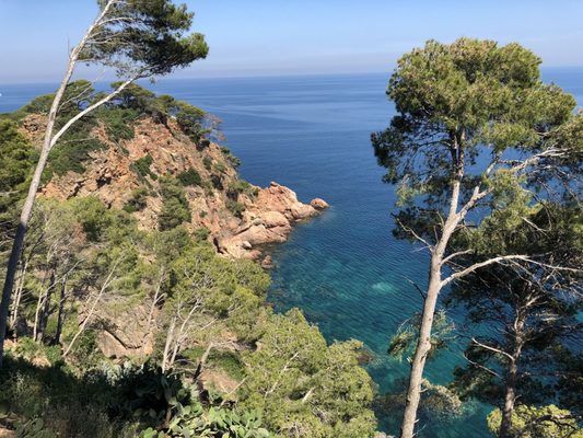 Jardíns de Cap Roig by null