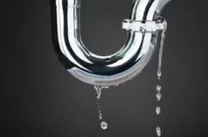 Slide of Two Men And A Snake