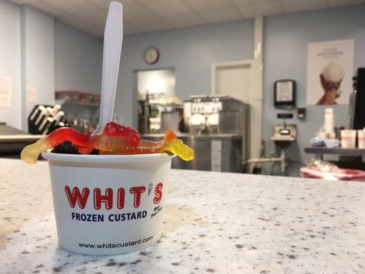 Whit's Frozen Custard of Avondale 104 bilder & 49 Whit's Frozen Custard of Avondale 104 bilder & 49