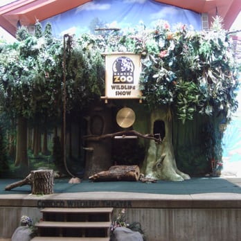 Denver Zoo - Bird Show at the Denver Zoo! - Zoos Near Me - Denver, Colorado Denver Zoo - Bird Show at the Denver Zoo! - Zoos Near Me - Denver, Colorado