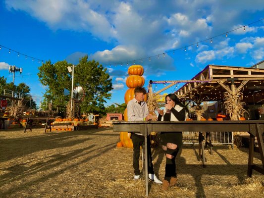 Jack's Pumpkin Pop-up by null