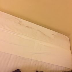 Sydney Harbour Bed & Breakfast