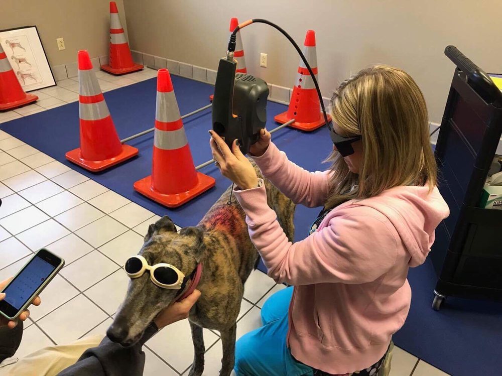 BRODHEAD VETERINARY MEDICAL CENTER Updated August 2024 W1175 State