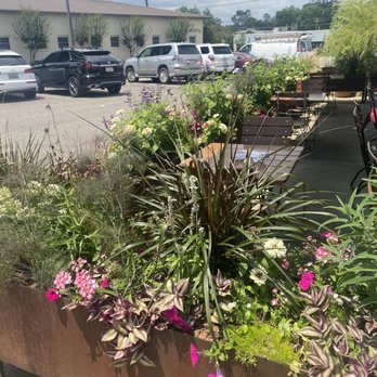 Little Donkey - Homewood - Flowers on patio - Mexican Near Me - Birmingham, Alabama Little Donkey - Homewood - Flowers on patio - Mexican Near Me - Birmingham, Alabama