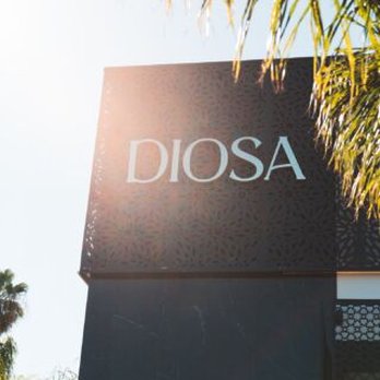 DIOSA Downey - New Mexican Cuisine Near Me - Downey, California DIOSA Downey - New Mexican Cuisine Near Me - Downey, California