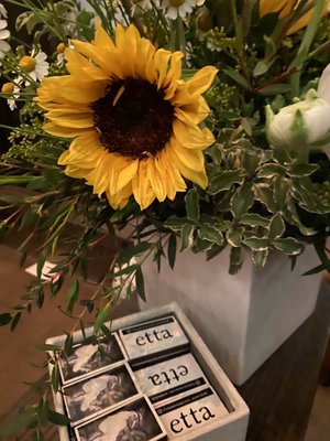 etta Scottsdale by null etta Scottsdale by null