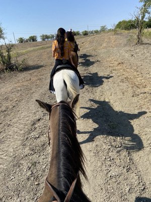 Trail Rides - Trail rides available for groups. 1 hr trail on horseback. Trail Rides - Trail rides available for groups. 1 hr trail on horseback.