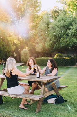 McConnell Estates Winery by null