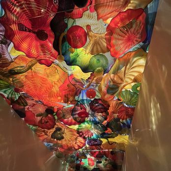 Chihuly Collection - Art Galleries Near Me - Saint Petersburg, Florida