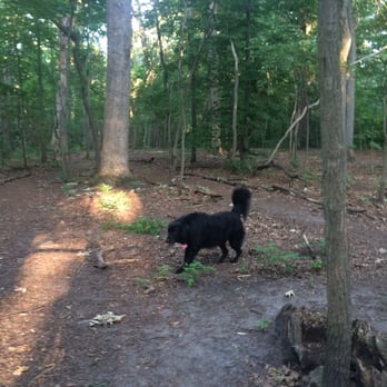 Timber Creek Park - Trails in the fall/winter(?) - Dog Parks Near Me - Gloucester Township, New Jersey Timber Creek Park - Trails in the fall/winter(?) - Dog Parks Near Me - Gloucester Township, New Jersey