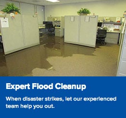 Slide of Top Job Carpet Cleaning